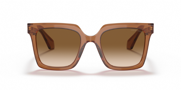 Giorgio-Armani-8156-Transparent-Brown-Clear-Gradient-Brown