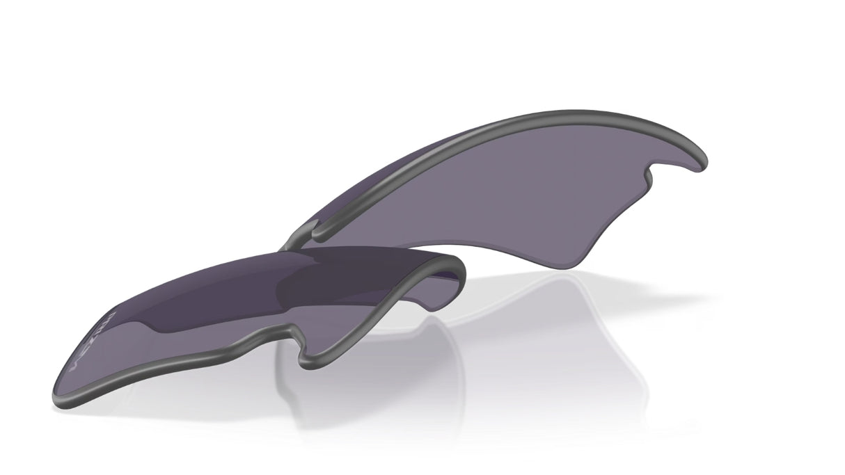 Oakley-Flak-20-XXL-lenzen-Prizm-Grey