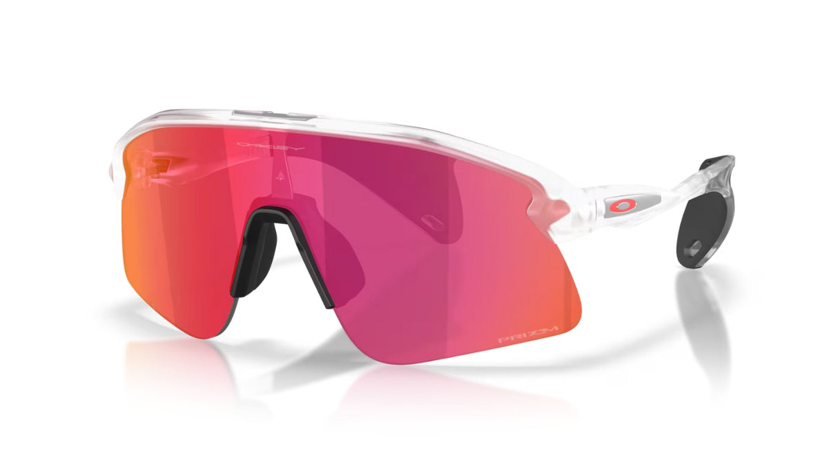 Oakley Stunt Devil S Matte Clear/ Prizm Field