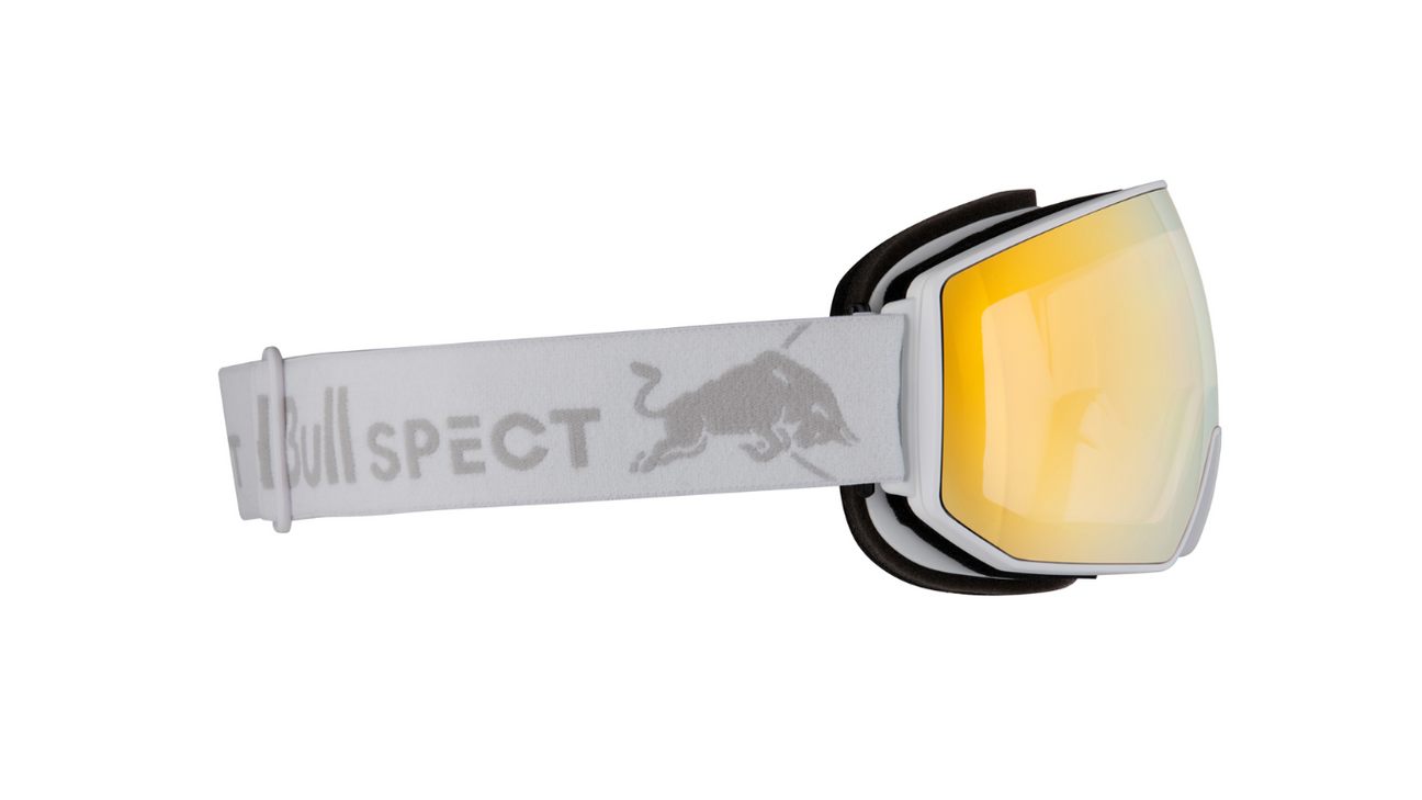 Red Bull SPECT Goggles FINK
