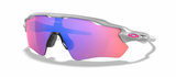 Oakley Custom Radar EV Path Silver/ Prizm Trail