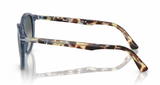 Persol Transparent Navy/ Gray Gradient