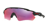 Oakley Radar EV Path Mattschwarz/Prizm Road