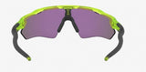 Oakley Radar EV XS (extra small) Matte Uranium/ Prizm Jade