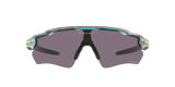 Oakley Radar EV Path Sanctuary Swirl/ Prizm Grey