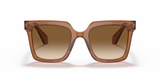 Giorgio-Armani-8156-Transparent-Brown-Clear-Gradient-Brown