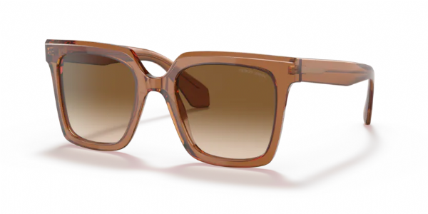 Giorgio-Armani-8156-Transparent-Brown-Clear-Gradient-Brown