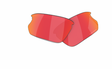 Oakley-Bisphaera-Lenzen-Prizm-Field