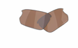 Oakley-Bisphaera-Lenzen-Prizm-Tungsten-Polarized