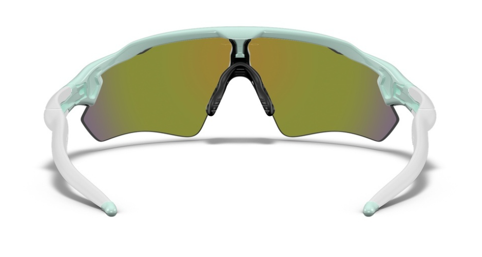 Oakley Custom Radar EV Jasmine, Purple Icon/ Violet achterzijde