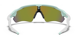 Oakley Custom Radar EV Jasmine, Purple Icon/ Violet achterzijde