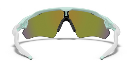 Oakley Custom Radar EV Jasmine, Purple Icon/ Violet achterzijde