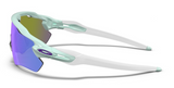 Oakley Custom Radar EV Jasmine, Purple Icon/ Violet zijkant