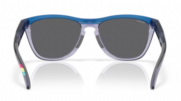 Oakley-Frogskins-Range-Fortnite-Prizm-Black