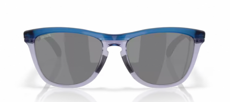 Oakley-Frogskins-Range-Fortnite-Prizm-Black