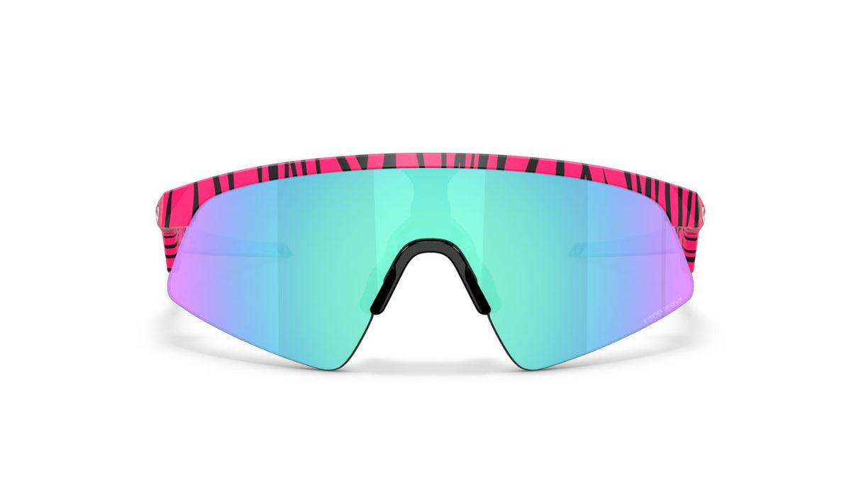 Custom-resistor-sweep-matte-hot-pink-bengal-prizm-sapphire-02